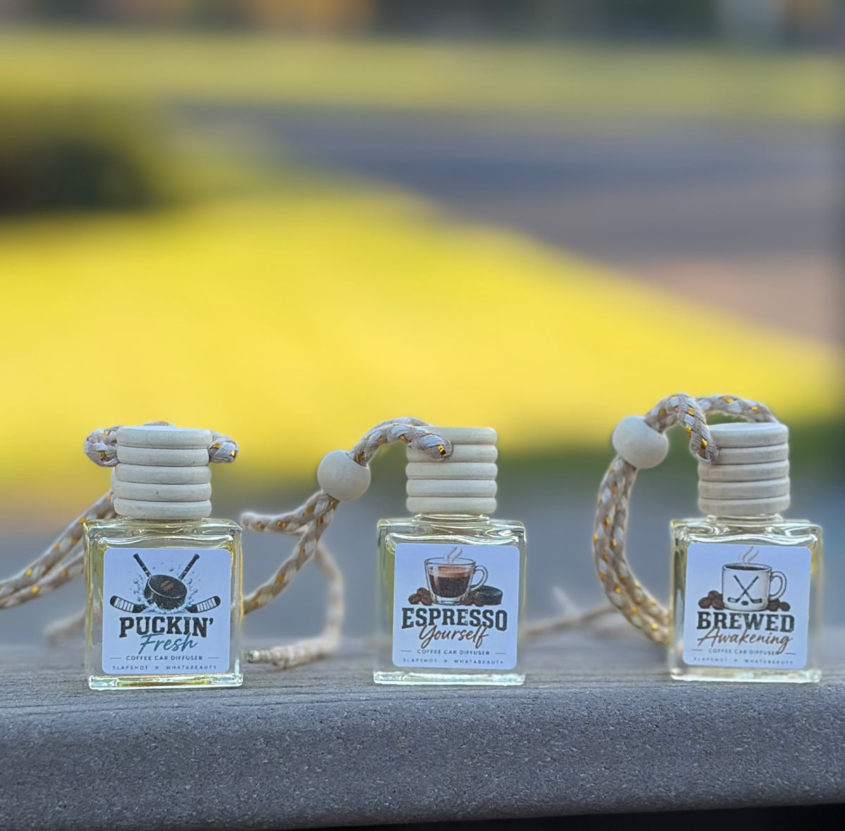 Car diffuser set